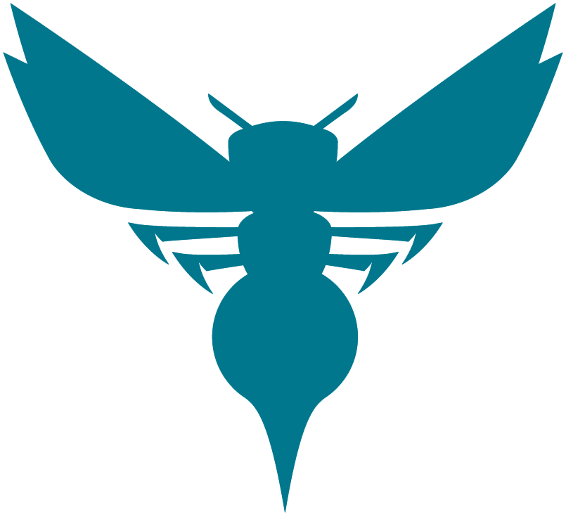 Charlotte Hornets 2014-Pres Alternate Logo fabric transfer version 3